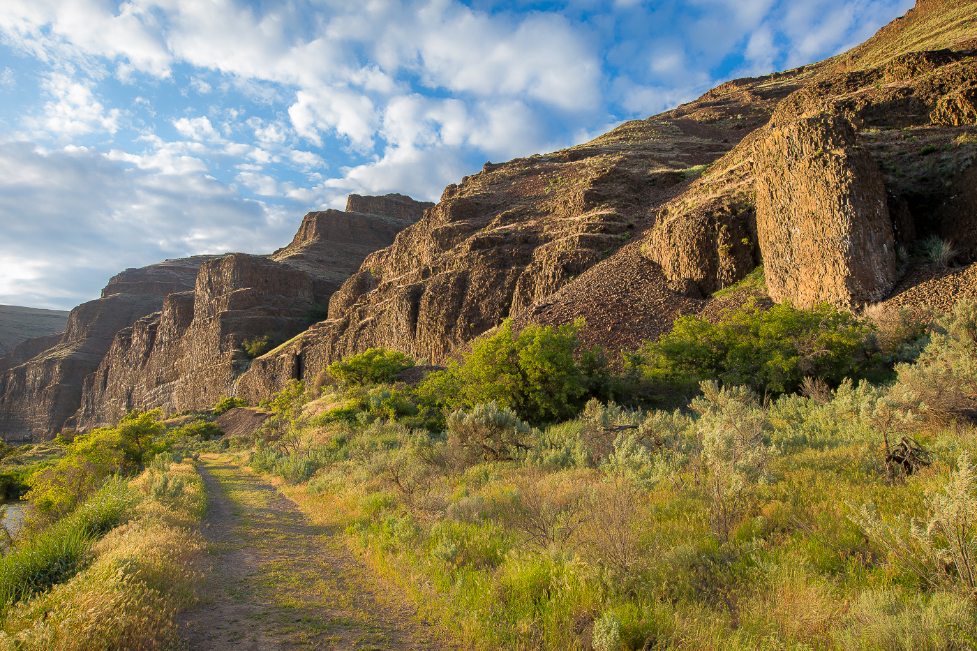 Cottonwood Canyon